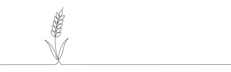 Continuous one thin smooth line simple minimalistic drawing of a wheat stalk on a white background