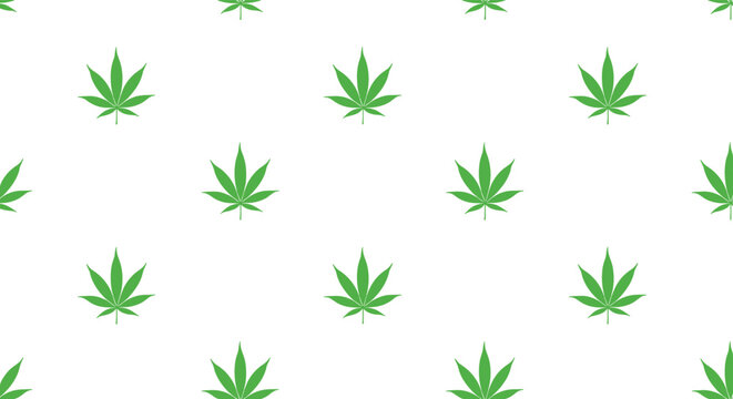 Simple seamless pattern with green cannabis sativa leaves on a white background for a minimalist botanical design.