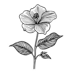 Indigo Flower: Silhouette Serenity | Clean, isolated vector art for creative projects.