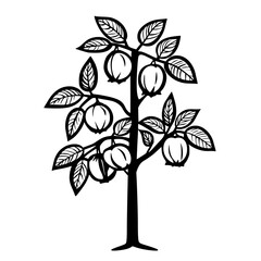 Obraz premium Silhouette Jabuticaba tree fruit | Clean, isolated vector art for creative projects.