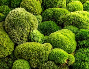 Macro shot of vibrant green moss clusters, showcasing its soft texture and lush, natural beauty, evoking a sense of organic growth and earthy tranquility