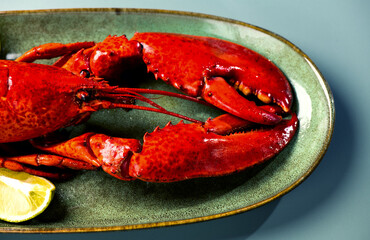 Lobster on a plate, Lobster seafood, gourmet food, steamed lobster with big claws on a plate with lemon, top view, flat lay, from above. Border art design, close-up