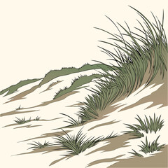 Coastal sand dunes with tall grass and sandy slopes