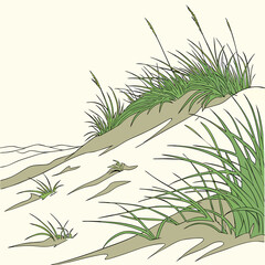 Coastal sand dunes with tall green grass tall grass