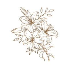 Brown Elegant Line-Art Illustration of a Lily Bouquet