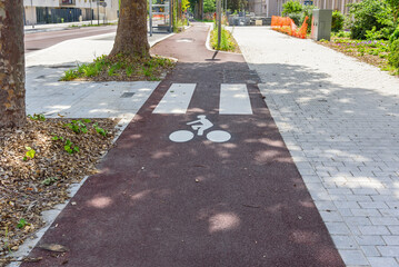 Deserted tree lined bicycle lane running alongside a street in a city centre on a sunny summer day