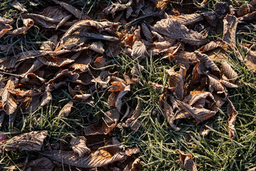 most legií bridge prague, Czech Republic