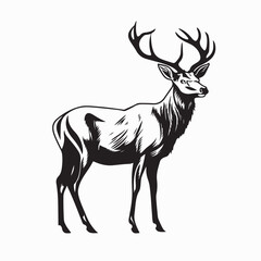 Obraz premium Deer silhouette vector on white background.