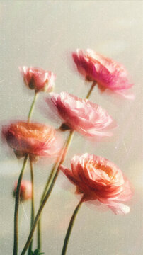 Soft Blurred Y2K Florals Vintage Backgrounds. Colorful flowers in soft focus with gentle hues creating a tranquil and dreamy atmosphere