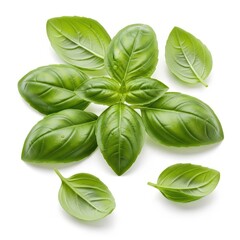 Fototapeta premium Fresh aromatic green herb leaves are scattered across a clean white surface