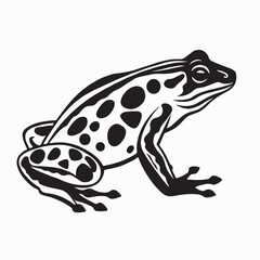 Tropical frogs Vector. Black and  White Tropical frog Vector Image on white background