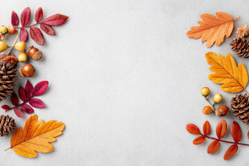 Autumn fall background with frame of colorful leaf, pinecone, and acorn. This flat lay border with berry accents creates warm and festive seasonal composition for greeting