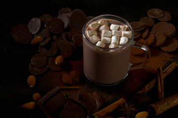 Hot chocolate with marshmallows and chocolate pieces in a dark setting surrounded by nuts and spices