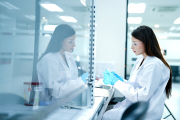 A microbiologist performs aseptic techniques in a laminar flow hood. She is processing a biological...