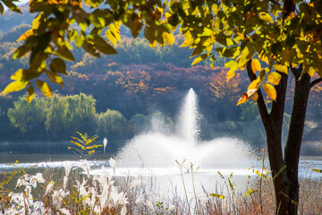 가을 풍경, 인천대공원