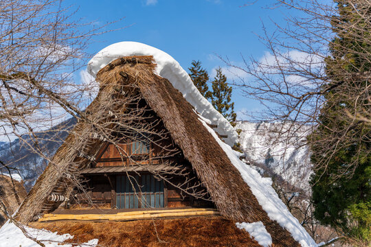 A close-up of a traditional gassho-zukuri house in the Suganuma World Heritage village, showing the detail of the thatched roof and snow. Nanto, Toyama, Japan.