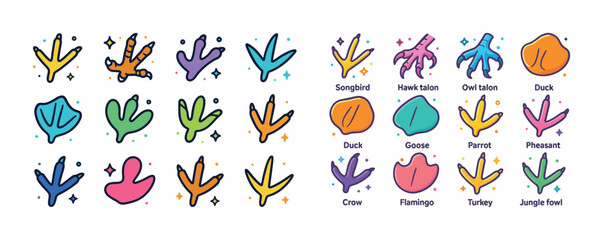 Obraz premium Illustrated bird footprints and talons with labels and colors