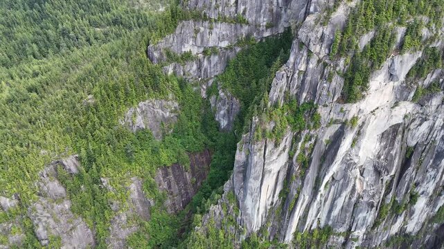 The flat rocks are covered with trees in places.