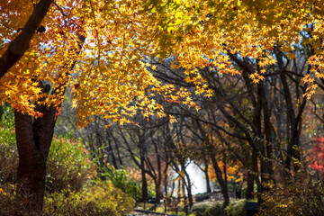 가을 풍경, 춘천