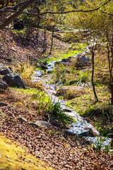 가을 풍경, 춘천