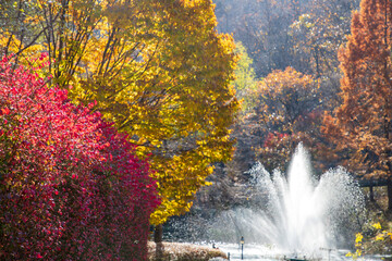 가을 풏경, 춘천