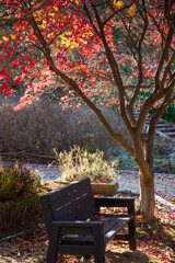 가을 풍경, 춘천