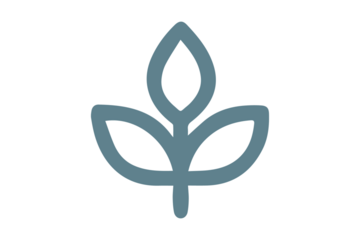 Teal Leaf or Sprout Icon with Three Petals graphic design