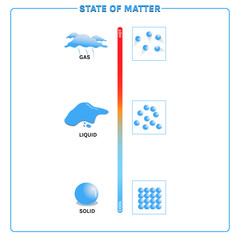 States of Matter Educational Vector Diagram for Science Learning