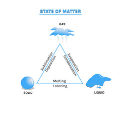 States of Matter Educational Vector Diagram for Science Learning