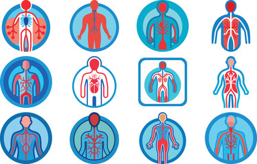 Human Anatomy Icon Set Featuring Heart, Liver, Kidney, Lungs, Intestine, Digestive System, Muscular System, Nervous System and Internal Organs &ndash; Flat Medical Vector Illustration for Healthcare, Educat
