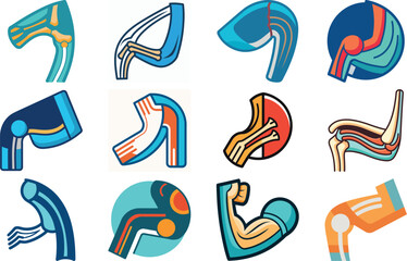 Human Anatomy Icon Set Featuring Heart, Liver, Kidney, Lungs, Intestine, Digestive System, Muscular System, Nervous System and Internal Organs &ndash; Flat Medical Vector Illustration for Healthcare, Educat