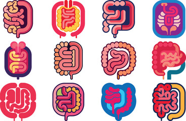Human Anatomy Icon Set Featuring Heart, Liver, Kidney, Lungs, Intestine, Digestive System, Muscular System, Nervous System and Internal Organs &ndash; Flat Medical Vector Illustration for Healthcare, Educat