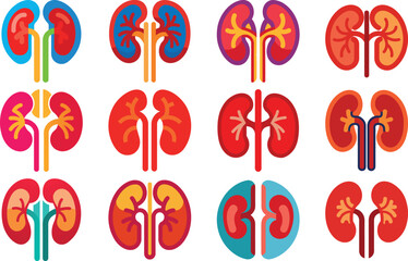 Human Anatomy Icon Set Featuring Heart, Liver, Kidney, Lungs, Intestine, Digestive System, Muscular System, Nervous System and Internal Organs &ndash; Flat Medical Vector Illustration for Healthcare, Educat