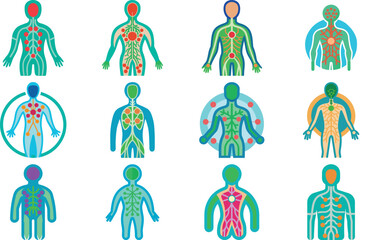 Human Anatomy Icon Set Featuring Heart, Liver, Kidney, Lungs, Intestine, Digestive System, Muscular System, Nervous System and Internal Organs &ndash; Flat Medical Vector Illustration for Healthcare, Educat