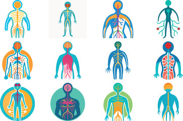 Human Anatomy Icon Set Featuring Heart, Liver, Kidney, Lungs, Intestine, Digestive System, Muscular System, Nervous System and Internal Organs &ndash; Flat Medical Vector Illustration for Healthcare, Educat
