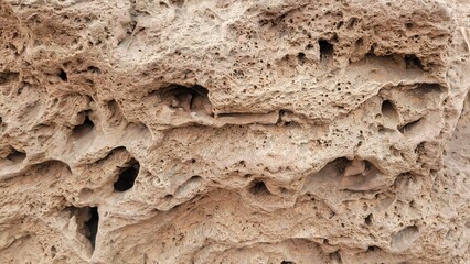 Rough Stone Surface with Natural Holes