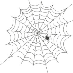 Fototapeta premium Black spider spinning intricate cobweb illustration