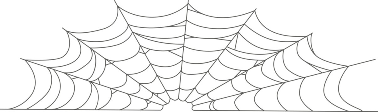 Spider web trapping insect pest Halloween decoration