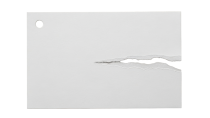 Plain white index card, small hole in the corner, jagged tear
