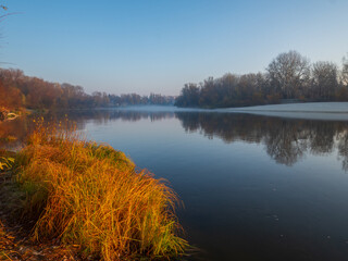 morning in the forest