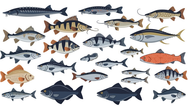 Illustration of various fish species, including sturgeon, perch, tuna, and carp.