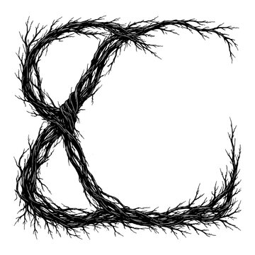 Dark thorn branch frame set in circular and square shapes, Transparent Background