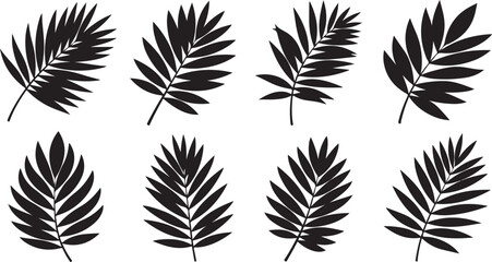 Eight black palm leaf silhouettes collection