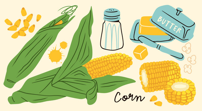 Fresh sweet Corn on the cob, green leaves, deliciously boiled, grilled corn. Corn kernels seeds, salt shaker, butter, knife, pop corn. Hand drawn Vector illustration. Isolated design elements 