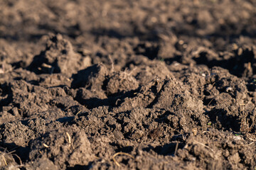 plowed black soil