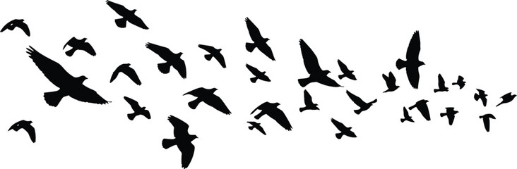 A large, dynamic flock of black bird silhouettes flying across a white background, symbolizing freedom, migration, and the beauty of nature.