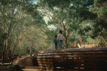 Children are exploring a beautiful natural playground with trees and vibrant nature