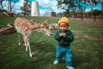 A joyful child enjoys a peaceful moment with a curious deer, bonding in nature