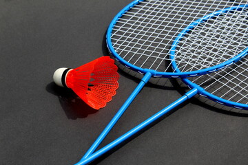 On a white background there are rackets and a shuttlecock for the game.