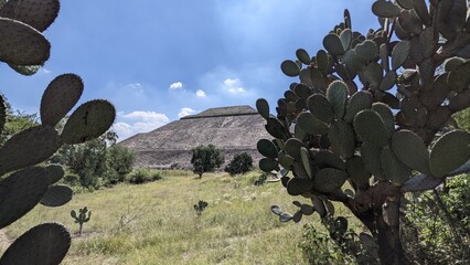 Pyramid of the Sun Framed by Cactus Plants at Teotihuacán, Mexico